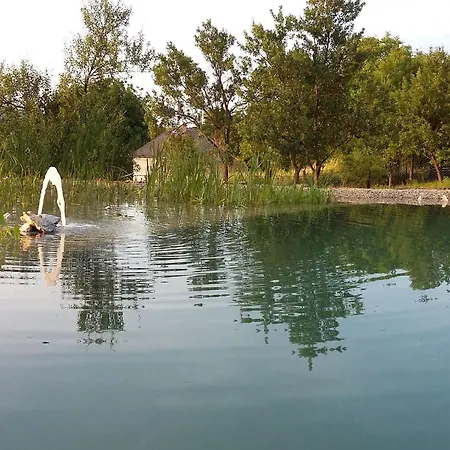 Mit Biologischem Schwimmteich By Interhome بيت للعطل *